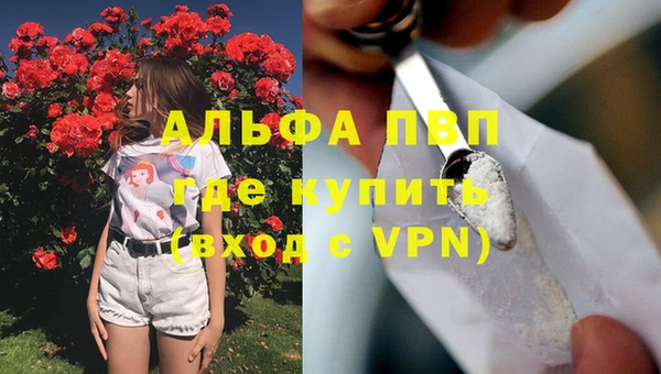 ECSTASY Медвежьегорск