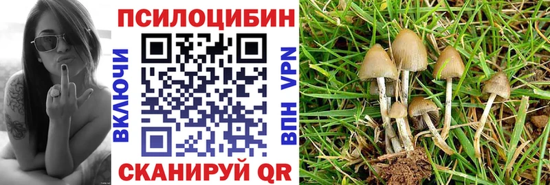 Галлюциногенные грибы Psilocybine cubensis  Красноармейск 