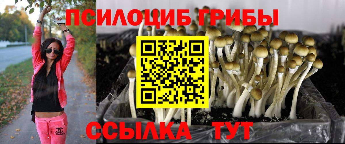 Красноармейск  Галлюциногенные грибы мицелий  Вход с VPN 