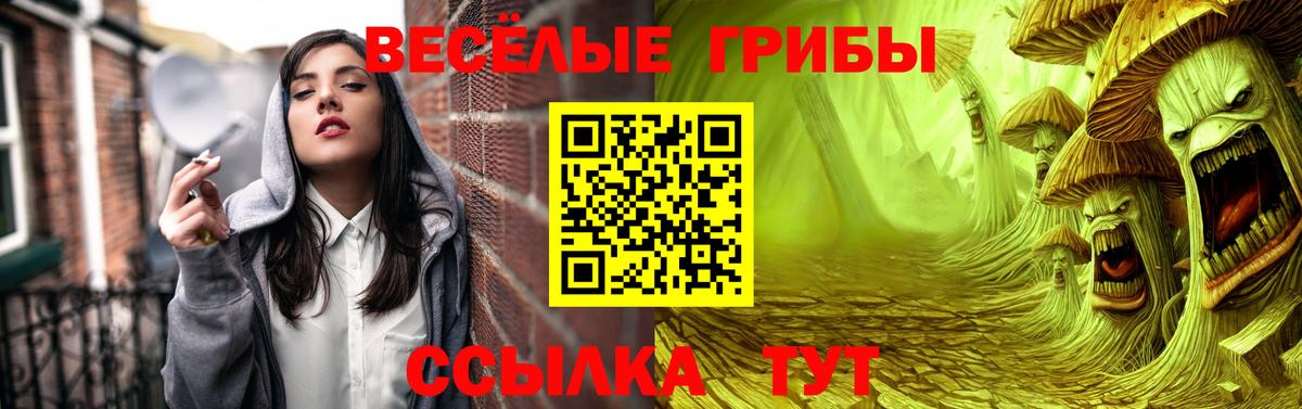Псилоцибиновые грибы Cubensis Красноармейск